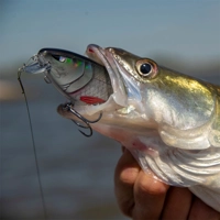 Berkley Zilla Flanker 11cm/29g